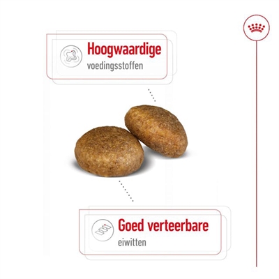 Royal Canin Maxi Adult Droogvoer 15 KG voor grote honden
