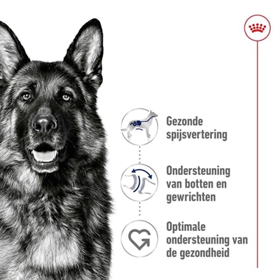 Royal Canin Maxi Adult Droogvoer 15 KG voor grote honden
