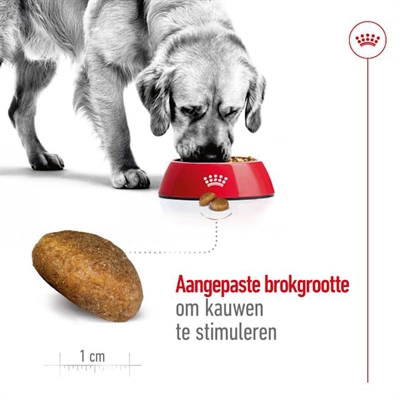 Royal Canin Maxi Adult Droogvoer 15 KG voor grote honden
