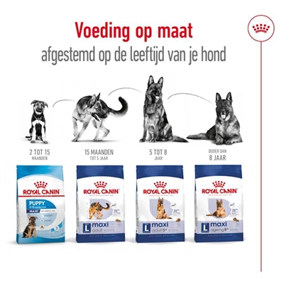 Royal Canin Maxi Adult Droogvoer 4 KG voor grote honden