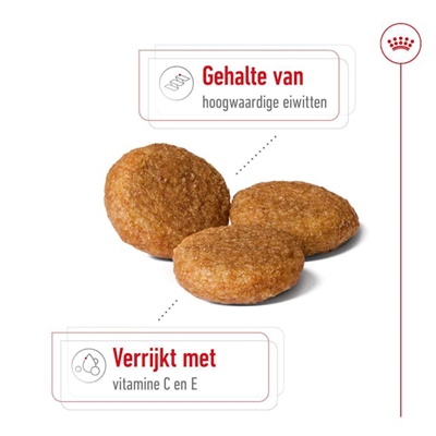 Royal Canin Medium Adult Hondenvoer 15 KG