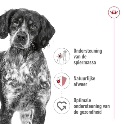 Royal Canin Medium Adult Hondenvoer 15 KG