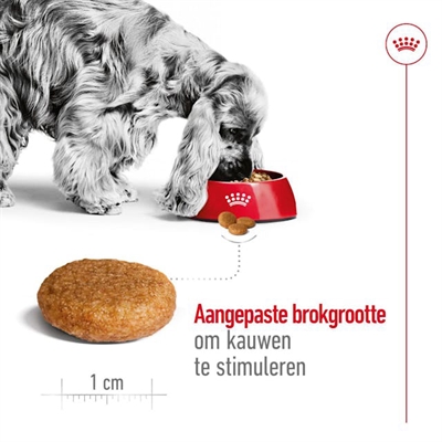 Royal Canin Medium Adult Droogvoer 4 KG voor honden