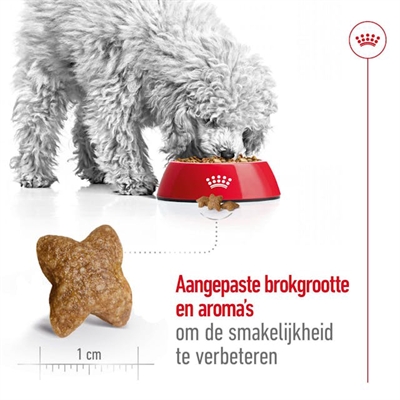 Royal Canin Mini Adult Droogvoer 2 KG voor kleine honden