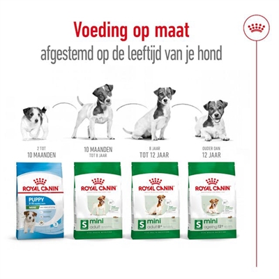 Royal Canin Mini Adult Droogvoer 2 KG voor kleine honden