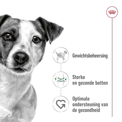 Royal Canin Mini Adult Droogvoer 4 KG voor kleine honden