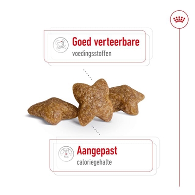 Royal Canin Mini Adult Droogvoer 8 KG voor kleine honden