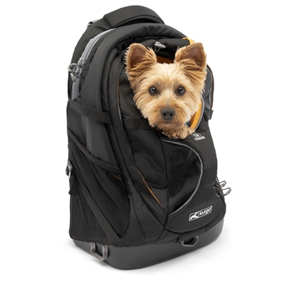 Kurgo G-Train Rugzak Zwart 41,3x22,9x50,2 cm voor honden