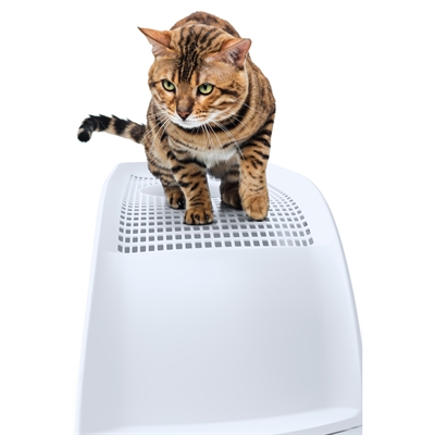 Imac Kattenbak Frida Blauw 56x40x43,5 cm met lade