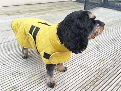 Happy Pet Hondenjas Go Walk Mosterd XL 60 cm