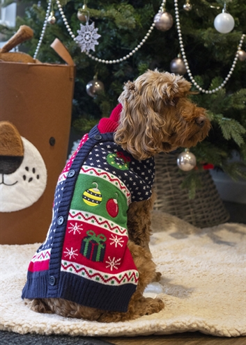 Cupid & Comet Kerstpakket voor Honden 50 cm met Trui, Speeltje en Snacks
