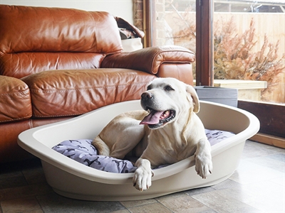 Rosewood Hondenkussen All Seasons Ovaal 65x55 cm — Comfortabele ligplek voor je hond