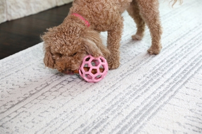 JW Hol-ee Roller Roze 11,5x11,5x11,5 CM Hondenspeeltje