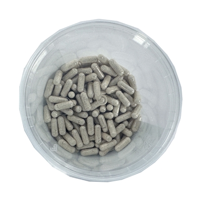 Dierendrogist Darmflora Opbouw Capsules 150 ST