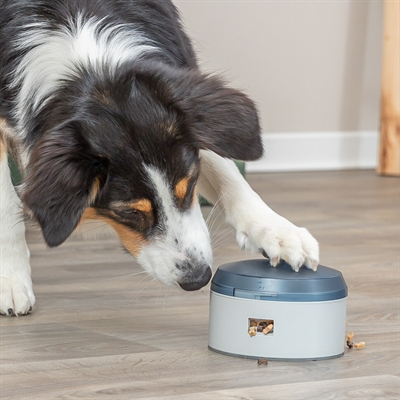 Trixie Dog Activity Buzzer Interactief Speelgoed 14x14x9,5 CM