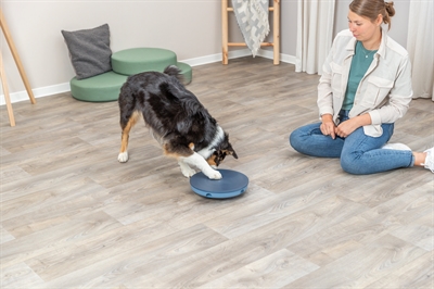 Trixie Dog Activity Rocking Maze 28x28 cm kunststof speelgoed