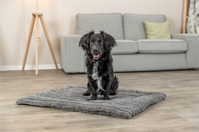 Trixie Ligmat Lonni Ribfluweel Grijs 130x90 cm — Comfortabele ligplek voor jouw huisdier