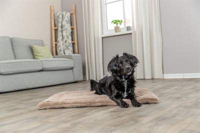 Trixie Ligmat Lonni Ribfluweel Lichtbruin 90x65 cm — Comfortabele rustplek voor je huisdier