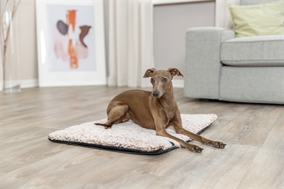 Trixie Ligmat Calida 100x65 cm — Warmte voor je huisdier