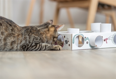 Trixie Cat Activity Paws'n'Treats Box 35x20x7 cm