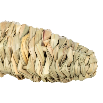 Trixie Wortel Gras Speeltje 20x6 cm voor Hamsters en Degoes