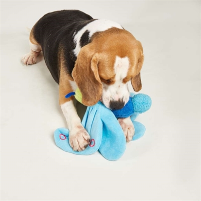 Fofos Jumbo Butterfly Blue Hondenknuffel 25x38x10 cm