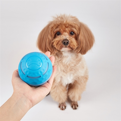 Fofos Rolbal Oplaadbaar voor Honden 8,5 cm