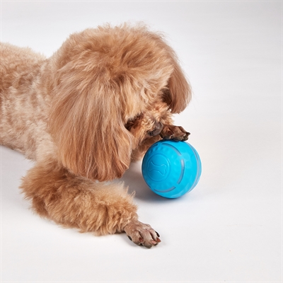 Fofos Rolbal Oplaadbaar voor Honden 8,5 cm