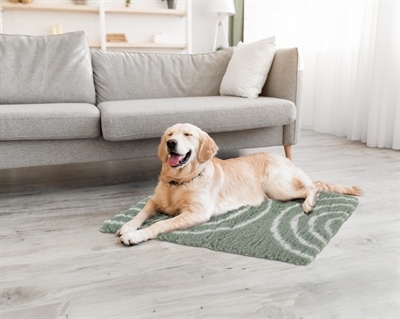 Zolux Hondendeken Vetbed Boog Groen 95x75 cm — Comfortabele plek voor jouw hond