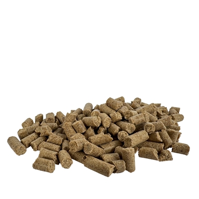 I Am Chicken Bites 400 GR - Hondensnacks met kipfilet