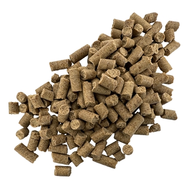 I Am Chicken Bites 400 GR - Hondensnacks met kipfilet