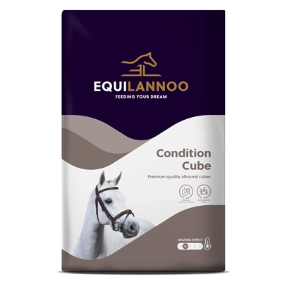 Equilannoo Condition Cube 20 KG