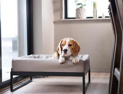 Bia Air Frame voor Bia Bed Zwart 72x62x17 cm — Verhoogd comfort voor je hond