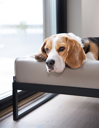 Bia Air Frame voor Bia Bed Zwart 87x72x17 cm — Verhoogd slaapcomfort voor je hond