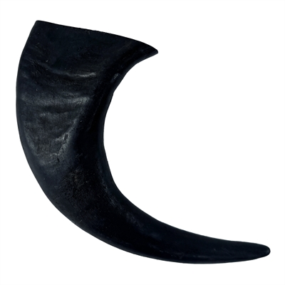 T-rex Groot 19-22 CM