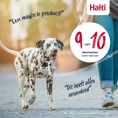 Halti Harnas Front Control Zwart Medium