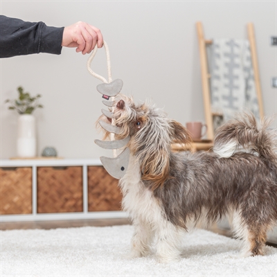 Trixie Visgraat Leer met Touw 43 cm voor honden