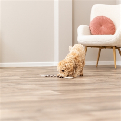 Trixie Visgraat Leer met Touw 43 cm voor honden