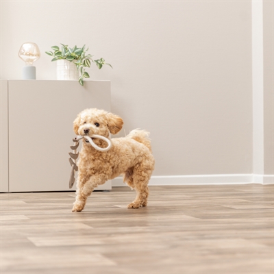 Trixie Visgraat Leer met Touw 43 cm voor honden