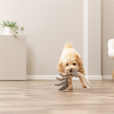 Trixie Visgraat Leer met Touw 43 cm voor honden