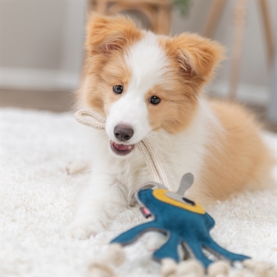 Trixie Monster Leer Met Touw 47 cm voor Honden