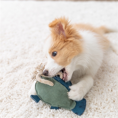Trixie Hondenspeeltje Vis Leer met Touw 28 cm
