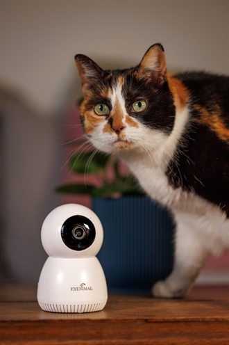 Numaxes Eyenimal Pet Vision Live HD Camera zonder geluiddetectie