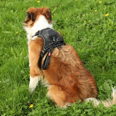 Zolux Easyride Hondentuig Zwart M 41-57 cm met uittrekbare riem
