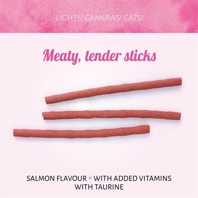 Antos Cat Soft Sticks Zalm & Forel 6 stuks 40 g