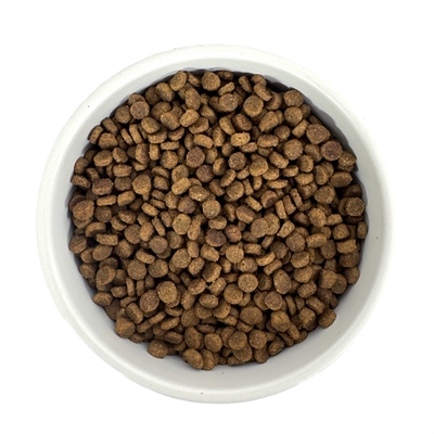 Budget Premium Kitten Droogvoer 1 KG