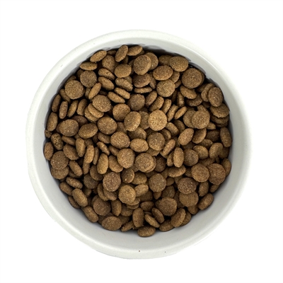 Budget Premium Droogvoer Senior 1 KG