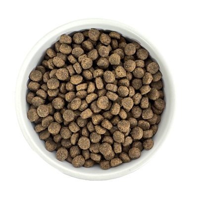 Budget Premium Droogvoer Small Breed 1 KG