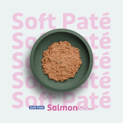 Prins Soft Paté Zalm & Kip 24x70 GR