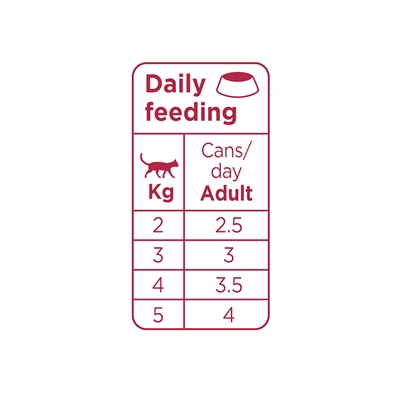 Prins Chunky Paté Kip & Kalkoen 24x70 GR